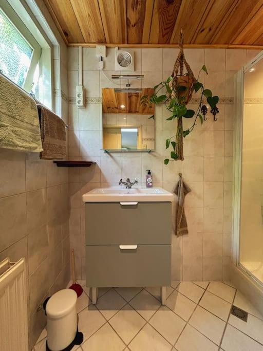 Onder De Kastanje! Villa Koedijk Luaran gambar