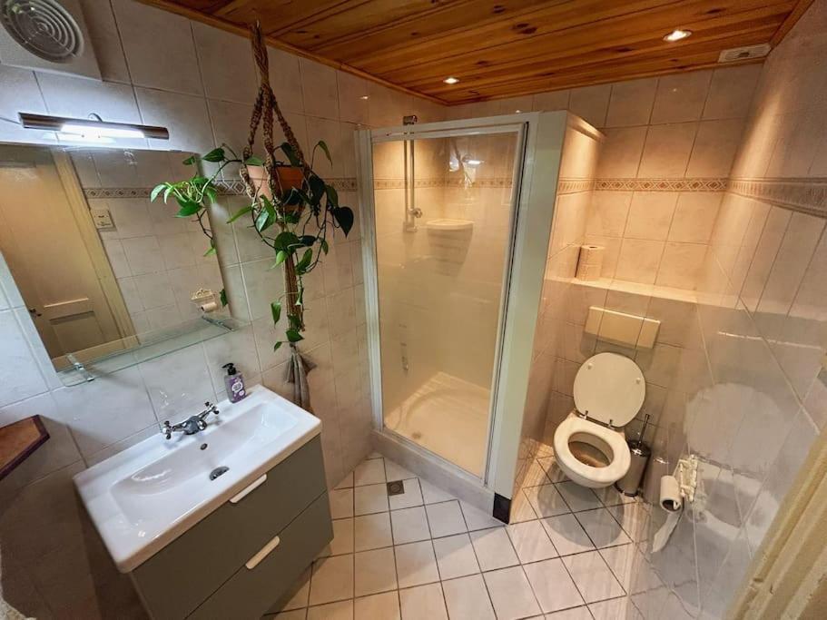 Onder De Kastanje! Villa Koedijk Luaran gambar